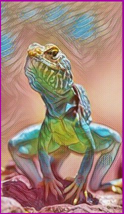 The Lizard Power Animal