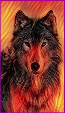 Meanings for your Spirit Animal Guides with The Wolf Animal Spirit