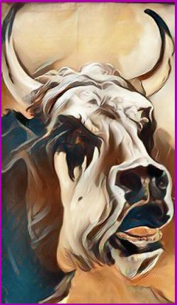 Meanings for your Spirit Animal Guides with The Oxen Animal Spirit