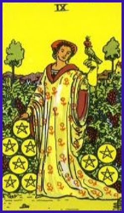 Nine of Pentacles Meanings